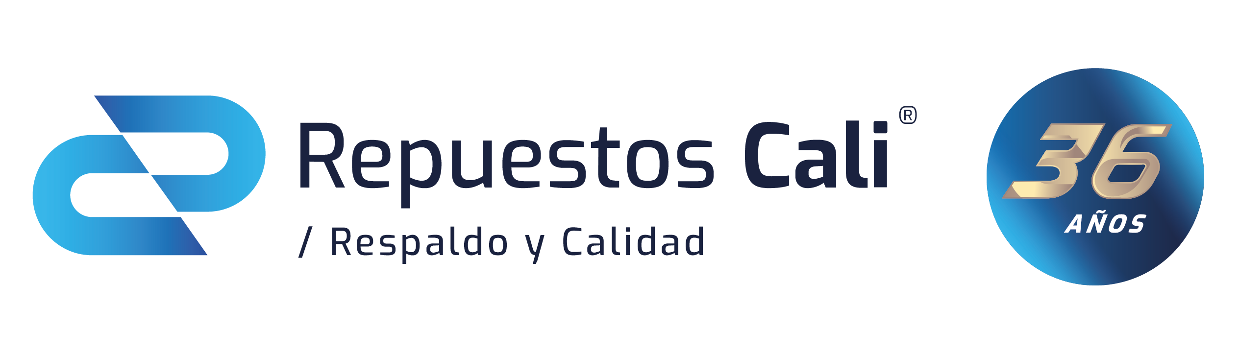 CAMBIOS WEB Repuestos Cail_Mesa de trabajo 1